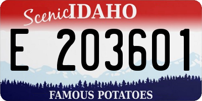 ID license plate E203601