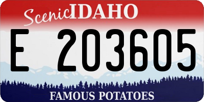 ID license plate E203605