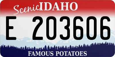 ID license plate E203606