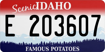 ID license plate E203607
