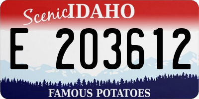 ID license plate E203612