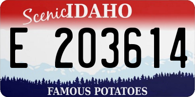 ID license plate E203614