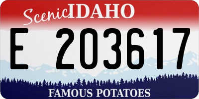 ID license plate E203617