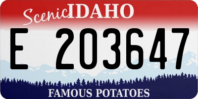 ID license plate E203647