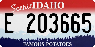 ID license plate E203665