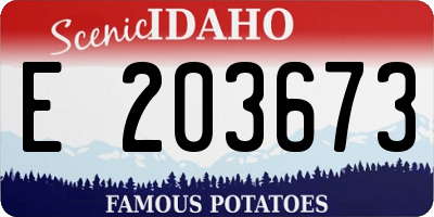 ID license plate E203673