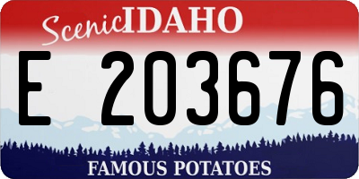 ID license plate E203676