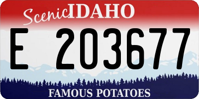 ID license plate E203677