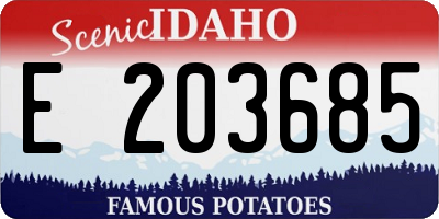 ID license plate E203685