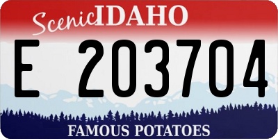 ID license plate E203704