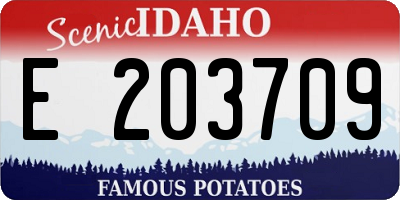 ID license plate E203709