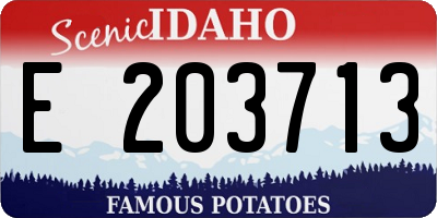 ID license plate E203713