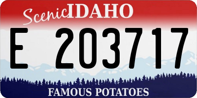 ID license plate E203717