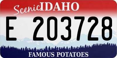 ID license plate E203728