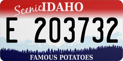 ID license plate E203732