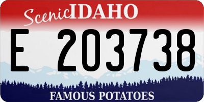 ID license plate E203738