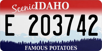 ID license plate E203742