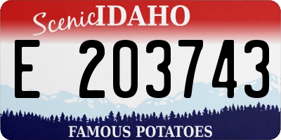 ID license plate E203743