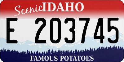 ID license plate E203745