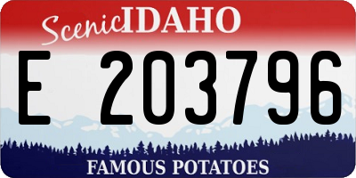 ID license plate E203796