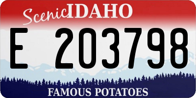 ID license plate E203798