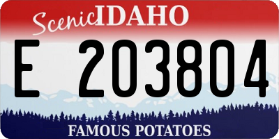 ID license plate E203804