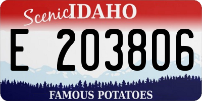 ID license plate E203806