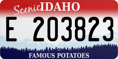 ID license plate E203823