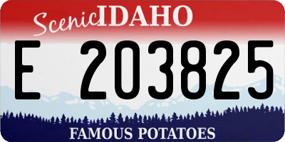 ID license plate E203825
