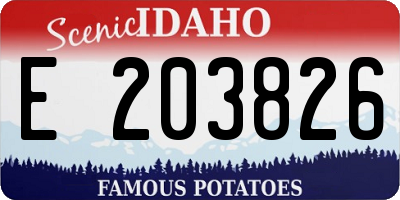 ID license plate E203826
