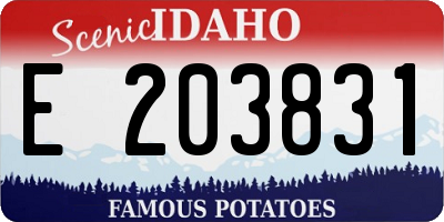 ID license plate E203831