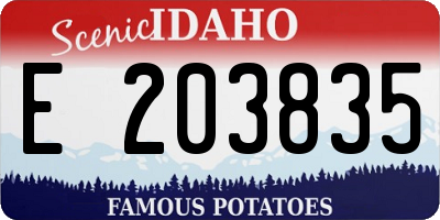 ID license plate E203835