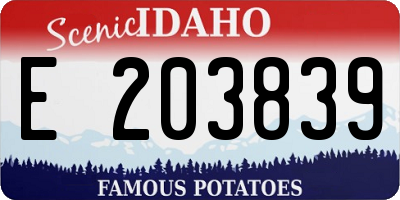 ID license plate E203839