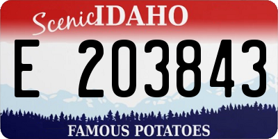 ID license plate E203843