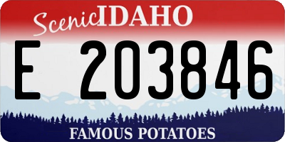 ID license plate E203846