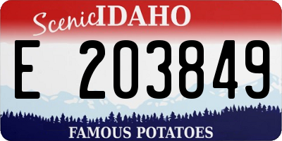 ID license plate E203849