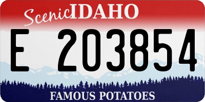 ID license plate E203854