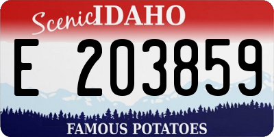 ID license plate E203859