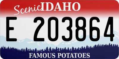 ID license plate E203864
