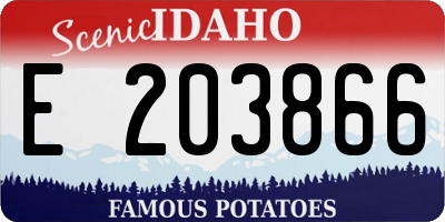 ID license plate E203866