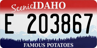 ID license plate E203867