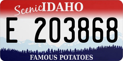 ID license plate E203868