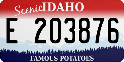 ID license plate E203876