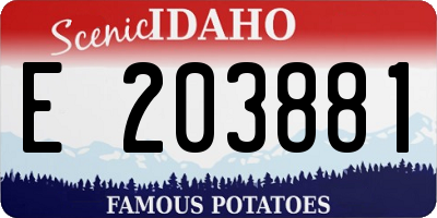 ID license plate E203881