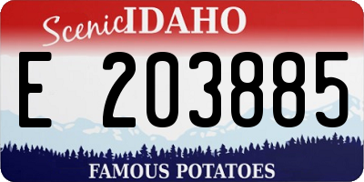 ID license plate E203885