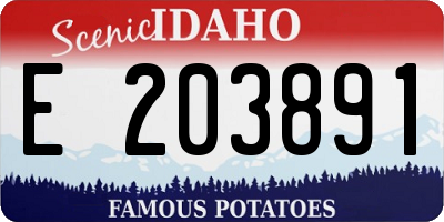 ID license plate E203891