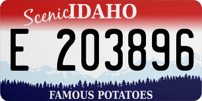 ID license plate E203896