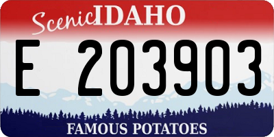 ID license plate E203903