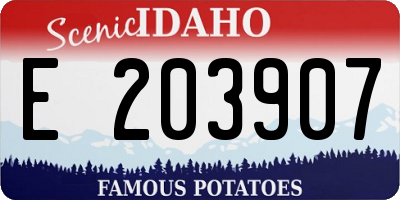 ID license plate E203907