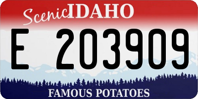 ID license plate E203909